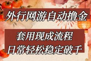 外行网游全自动撸金，套用现成流程，日常轻松稳定破千【揭秘】-麦资源网