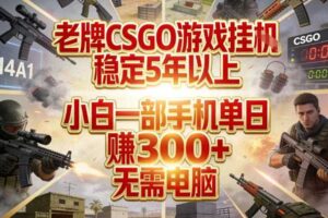 老牌CSGO游戏挂G，稳定5年以上，小白一部手机单日賺3张+，无需电脑【揭秘】-麦资源网