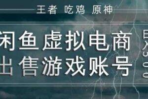 闲鱼虚拟电商之出售游戏账号，操作简单，月入1W+，全流程操作教学【揭秘】-麦资源网
