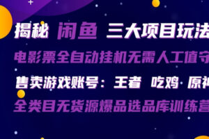 闲鱼三种玩法 全自动电影票  售卖游戏账号  爆品选品库训练营-麦资源网