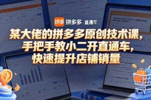 某大佬的拼多多原创技术课，手把手教小二开直通车，快速提升店铺销量-麦资源网