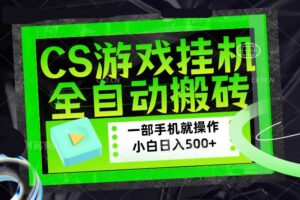 (17876期)CSGO游戏挂机捡漏搬砖,超稳定的项目,带领1000+小白实现日入500+,数据可视频验证-麦资源网
