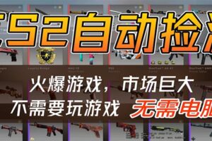 CS2游戏平台云挂机自动运行批量捡漏，小白轻松入门，包教包会，手机即可完成-麦资源网