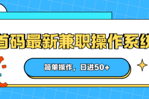 首码最新兼职操作系统，简单操作，日进50+-麦资源网