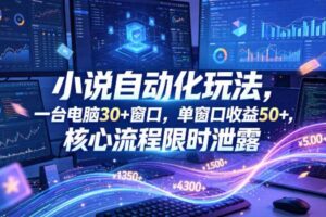 小说挂G自动化玩法，一台电脑30+窗口，单窗口收益50+，核心流程限时泄露【揭秘】-麦资源网