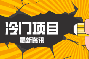 普通人容易忽略的冷门项目，仅靠一部手机，1小时复制粘贴零撸50+-麦资源网