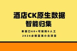 （18154期）2026必做蓝海小众项目，酒店CK原生数据智能归集，单窗口60+可矩阵0人工-麦资源网