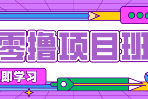 简单粗暴月入20万？揭秘教辅项目详细操作流程：普通人翻身的“神级赛道”！-麦资源网
