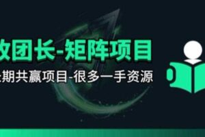 【团长合作】视频矩阵项目_招发手矩阵+剪辑师，共赢项目【揭秘】-麦资源网