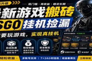 最新游戏搬砖CSGO纯挂机，真挂机月入1W+，五一小高峰上车可吃肉，手机即可操作-麦资源网