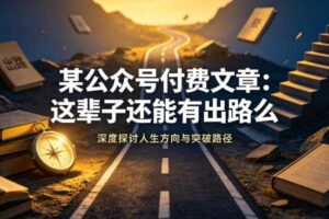 某公众号付费文章：这辈子还能有出路么-麦资源网