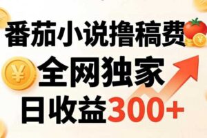 番茄撸稿费，稳定日收益300+，全网独家，副业必看，小白易上手，超级简单【揭秘】-麦资源网
