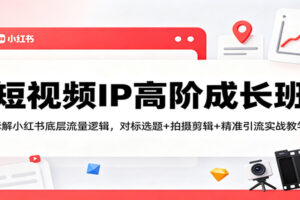 短视频IP高阶成长班：拆解小红书底层流量逻辑，对标选题+拍摄剪辑+ 精准引流实战教学-麦资源网