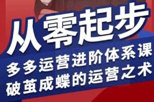 拼多多运营进阶系统课，从零起步，多多运营进阶体系课，破茧成蝶的运营之术（更新26年4月）-麦资源网