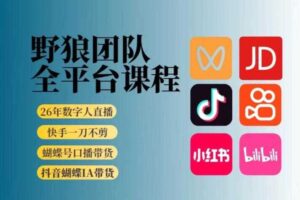 野狼团队2026新版全平台短视频带货教学，打开流量突破口，开始Ai带货（更新26年3月20日）-麦资源网