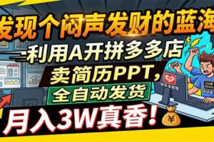 闷声发财的蓝海：利用AI开拼多多店卖简历PPT，全自动发货，月入3W真香-麦资源网
