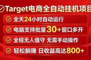 （18440期）Target电商全自动挂机项目全天自动运行电脑可批量30+窗口运行日收益入800+-麦资源网