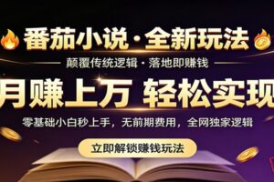 番茄小说5月最新独家玩法，稳定落地实测月入过万！-麦资源网