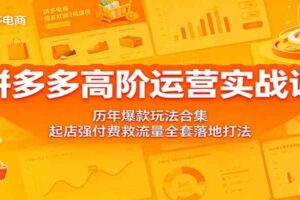 拼多多高阶运营实战课：历年爆款玩法合集，起店强付费救流量全套落地打法-麦资源网