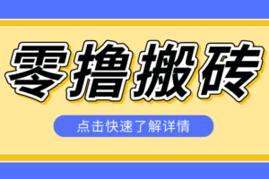 利用豆包去水印下载工具赚钱玩法，零成本零门槛多种收益月入5000+-麦资源网