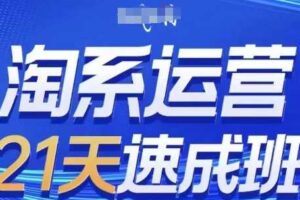 淘系运营21天速成班，0基础轻松搞定淘系运营，不做假把式，快速复制落地(更新26年4月)-麦资源网