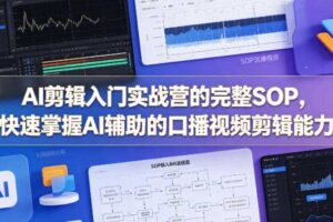 AI剪辑入门实战营的完整SOP，快速掌握AI辅助的口播视频剪辑能力-麦资源网
