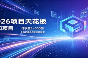 2026项目天花板，风口项目，日收益3~500+全自动挂机，不吃配置-麦资源网