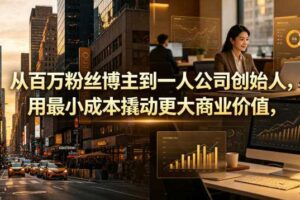 从百万粉丝博主到一人公司创始人，用最小成本撬动更大商业价值-麦资源网