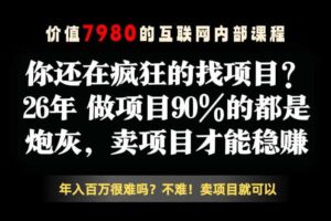 26年请不要疯狂的找项目了，卖项目远比你想象的暴利，你也可以月入10W+【揭秘】-麦资源网