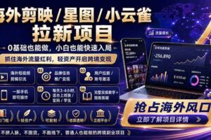 (18567期)海外剪映 / 星图 / 小云雀拉新项目 普通人也能上手的跨境流量变现副业-麦资源网