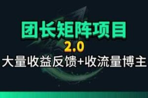 【团长合作2.0】视频矩阵项目_招发手矩阵+剪辑师，共赢项目【揭秘】-麦资源网