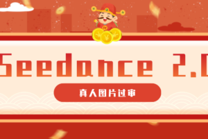 9套提示词教你真人图片过审，搞定即梦Seedance 2.0真人视频（附全套提示词）-麦资源网