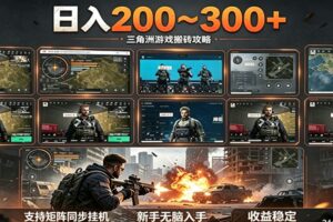 日入200~300+ 三角洲全自动搬砖项目，新手零门槛即可无脑入手-麦资源网