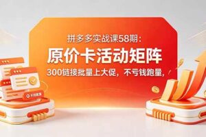 （18395期）拼多多实战课58期：原价卡活动矩阵，300链接批量上大促，不亏钱跑量-麦资源网