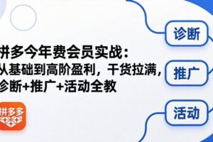 （18334期）拼多多年费会员实战(更新26年5月5)：从基础到高阶盈利，干货拉满，诊断+推广+活动全教-麦资源网