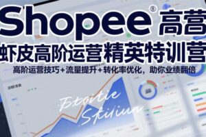 Shopee虾皮高阶运营精英特训营，高阶运营技巧+流量提升+转化率优化，助你业绩翻倍（更新26年5月）-麦资源网