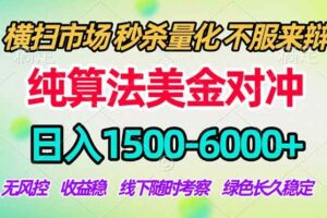 （18651期）2026美金掘金新风口-纯算法对冲震撼上线！日入1500-6000+，长久合规稳健，轻松摆脱死工资，…-麦资源网