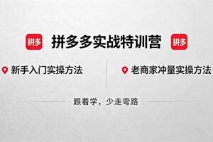 （18309期）拼多多实战特训营(更新5月3)：不管是新手入门或老商家冲量，都有实操方法，跟着学，少走弯路-麦资源网