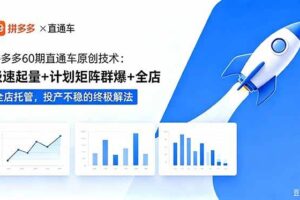 （18921期）拼多多60期直通车原创技术：极速起量+计划矩阵群爆+全店托管，投产不稳的终极解法-麦资源网