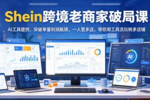 Shein跨境老商家破局课,AI工具提效,突破单量利润瓶颈,一人管多店,带你用工具流玩转多店铺-麦资源网