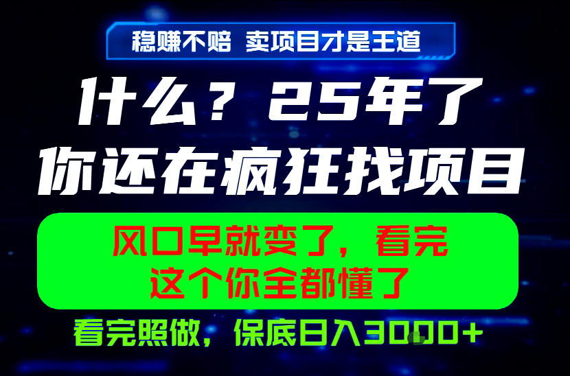 26年，请不要疯狂的找项目做了！卖项目才是真的稳賺不赔，看完照做，保底日入1k+【揭秘】