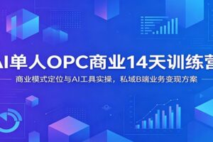 AI单人OPC商业14天训练营：商业模式定位与AI工具实操，私域B端业务变现方案-麦资源网
