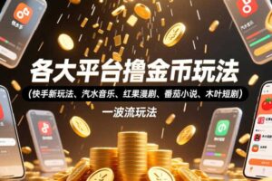 各大平台撸金币玩法（快手新玩法、汽水音乐、红果漫剧、番茄小说、木叶短剧），一波流玩法（收费398元的教程）-麦资源网
