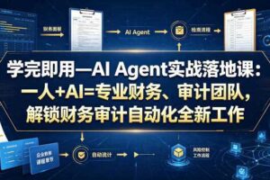 学完即用—AI Agent实战落地课：一人+AI=专业财务、审计团队，解锁财务审计自动化全新工作模式-麦资源网