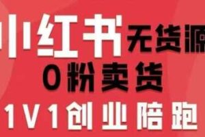 小红书无货源0粉电商课，开店准备、选品策略、笔记撰写、视频剪辑、数据分析、账号打造、资料文档（更新26年6月22日）-麦资源网