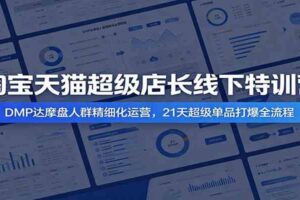 淘宝天猫超级店长线下特训营：DMP达摩盘人群精细化运营，21天超级单品打爆全流程-麦资源网