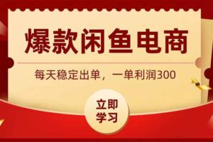 （19046期）爆款闲鱼电商，卖法简单粗暴，长期稳定可做，一单利润300-麦资源网