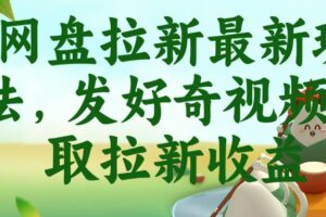 (18917期)网盘拉新最新玩法,发好奇视频获取拉新收益-麦资源网