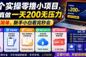 5个实操零撸小项目，认真做一天200无压力，操作简单，新手小白看完秒会【揭秘】-麦资源网