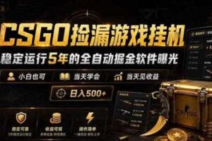 CSGO捡漏游戏挂G，稳定运行5年的全自动掘金软件曝光，小白也可当天学会，当天见收益，日入500+【揭秘】-麦资源网